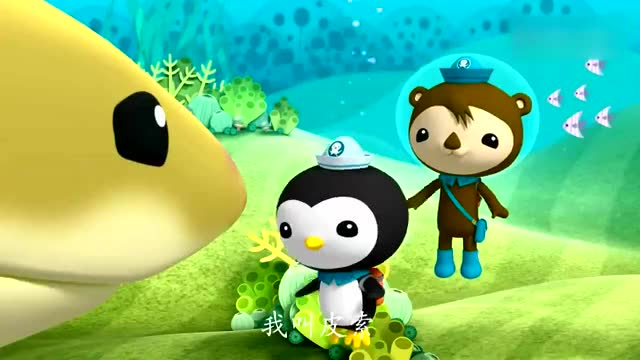 海底小纵队:受伤的柠檬鲨