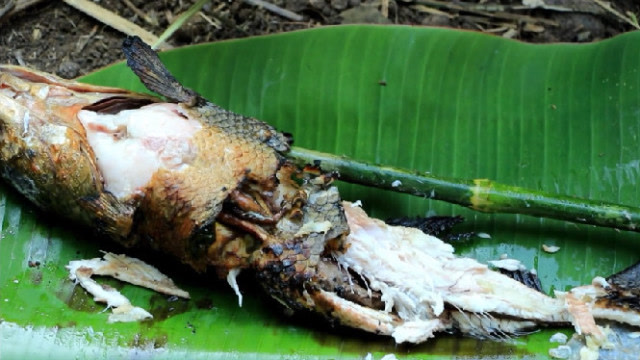 野外生存:俩小孩在野外烤鱼,竟是这样烤的,网友:真是让人想不到!