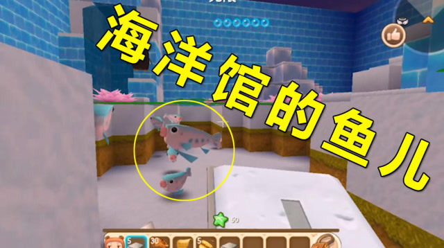 迷你世界:海洋馆的鱼儿好漂亮 五颜六色的!