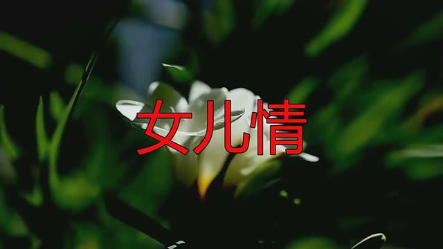 前奏一响就醉了!童丽唱的《女儿情》,真的很好听