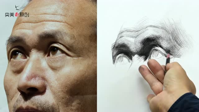 素描五官系列(眉毛眉弓)