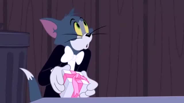 新猫和老鼠:汤姆当新郎,娶到了梦寐以求的"猫女郎"嘟嘟!