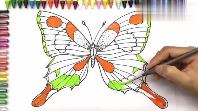 儿童简笔画,可爱大蝴蝶画画