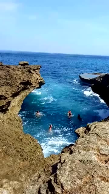 隔着屏幕就隐约发抖,下海游泳,确实是勇气可嘉!