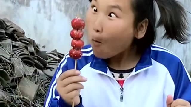 傻妞去买冰糖葫芦,看见冰糖葫芦的样子后,竟然是这种表情!