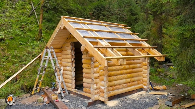 丛林搭建豪华木屋,多少人看了羡慕不已,你也可以学着盖一间!