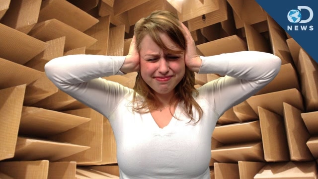 世界上最清净的房间,消音效果基本达百分百,呆久了不是平静是崩溃