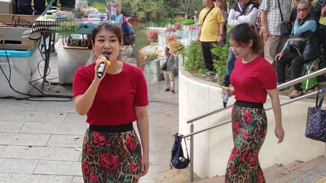 屯门公园三公主婷婷这首《你怎么让我忘记》天籁歌喉太好听了