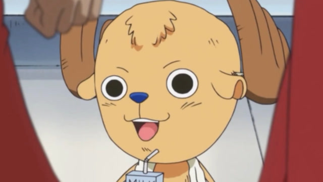 乔巴戴帽子也是迫不得已实在是秃头得遮一遮啊