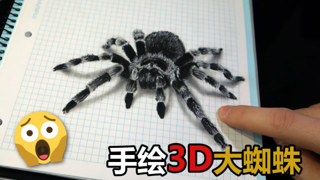 这只大蜘蛛原来是画的大神的超逼真3d立体画