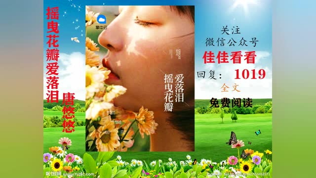 摇曳花瓣爱落泪全文全免