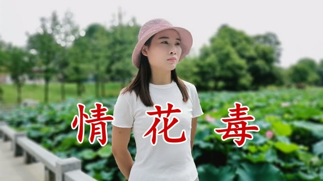 一首dj情歌《情花毒》节奏轻快,旋律入心,越听越好听!