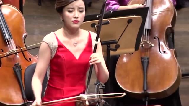 陆轶文二胡演奏阿曼尼莎美极了