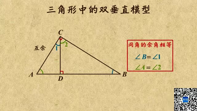 9. 三角形中的双垂直模型