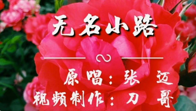 一首非常好听的歌曲无名小路