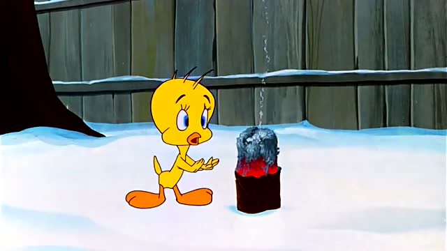 兔八哥:小鸟生火取暖,不料又遇到了猫咪