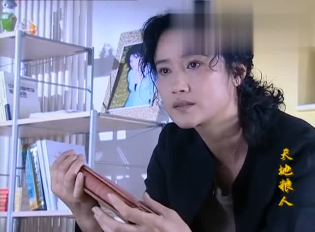 天地粮人大结局省长引咎辞职李永宝叶纹被立案调查