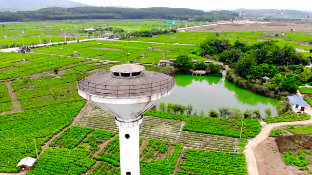 横县看点之中华茉莉花园