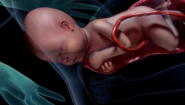 女人生孩子究竟有多疼?3d模拟演示全过程,向母亲致敬!