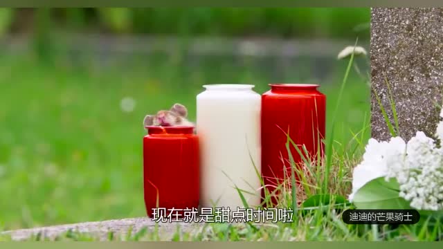 bbc纪录片 你没见过的野生仓鼠觅食记