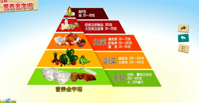 营养金字塔
