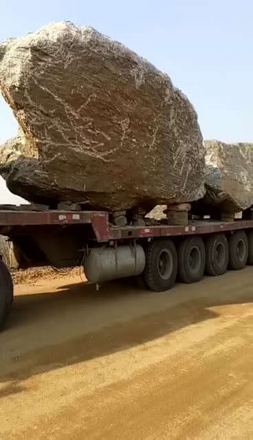 居然就拉三块石头?原来是这个原因!