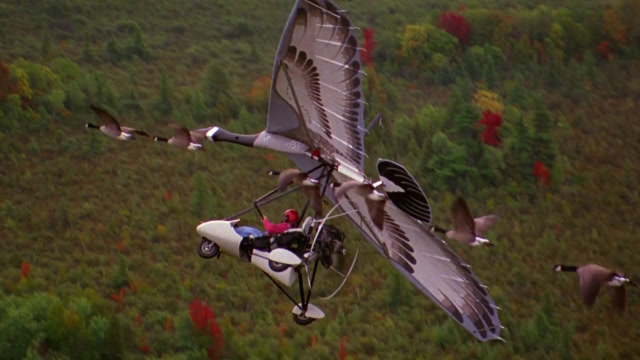 几分看完催泪剧情片《伴你高飞》,女孩自制飞行器护送大雁迁徙,温馨