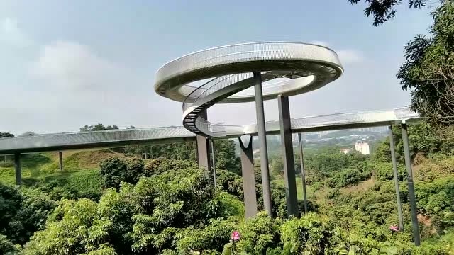 今天去了一下光明农场玻璃栈道,才知道被网红坑了,白跑一趟