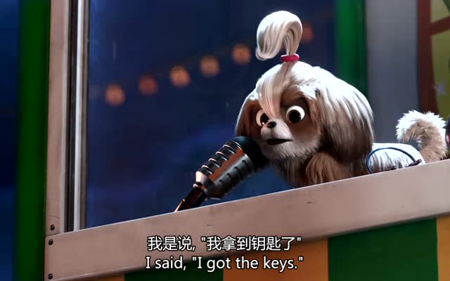 爱宠大机密:黛西把小虎救出来了,它们是最好的朋友