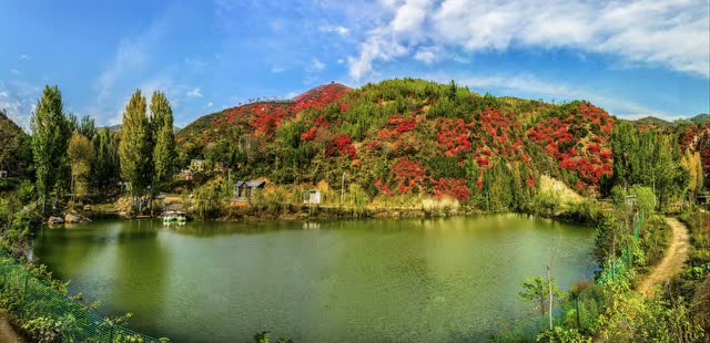 娲皇谷旅游度假区红叶