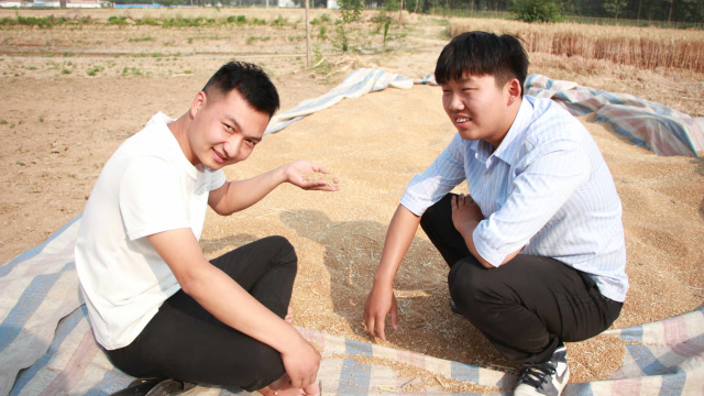 农村小伙小飞找龙龙商量,怎么把表姐整走,看龙龙出了什么妙招