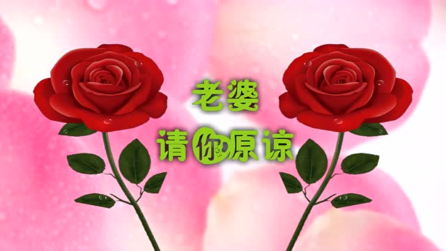 12 玫瑰轻划和好如初
