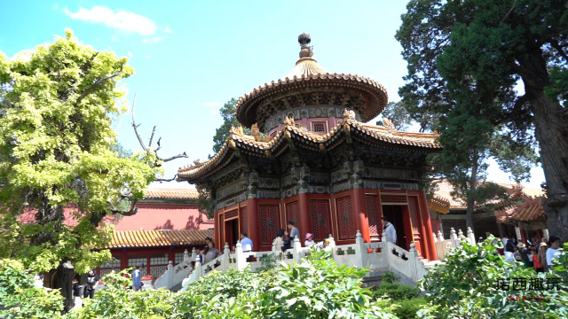 外地小伙第一次逛皇帝的御花园,里面到底有点啥?有点不敢相信