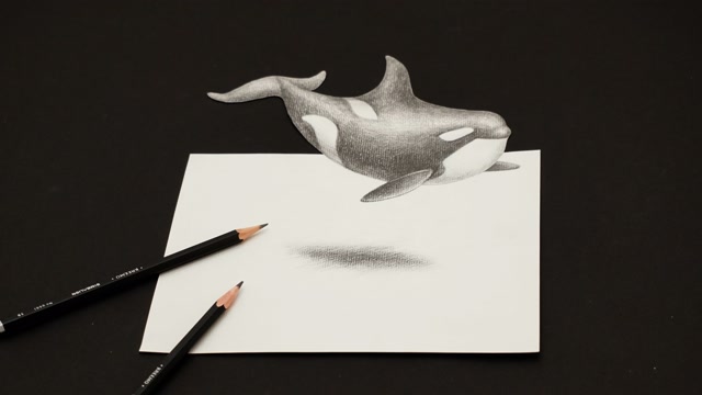 【雄狮文具】手绘超写实3d立体素描,让虎鲸在纸上漂浮