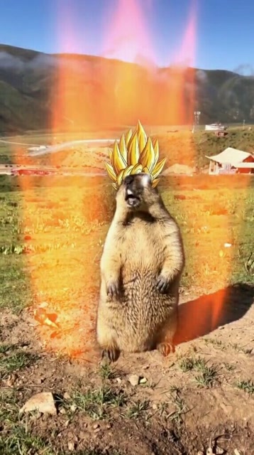 当土拨鼠变身赛亚人会怎样?