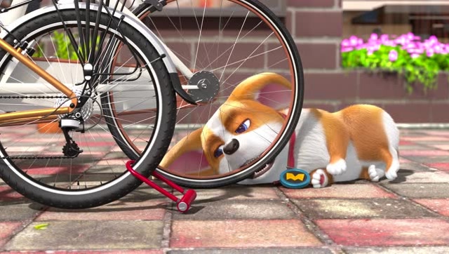 飞狗:主人为了吃烧烤,把小狗丢在门口看车,好残忍