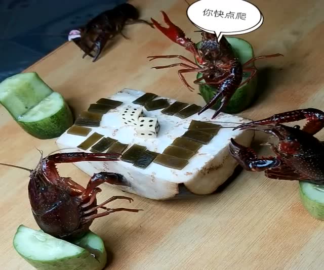 最爱打麻将的龙虾,这一排排的坐的姿势太搞笑了,小心给你们爆炒了!