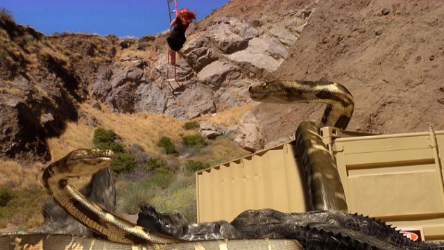 巨蟒大战恐鳄:美女被怪兽包围后,竟能巧妙逃脱,场面太惊险了
