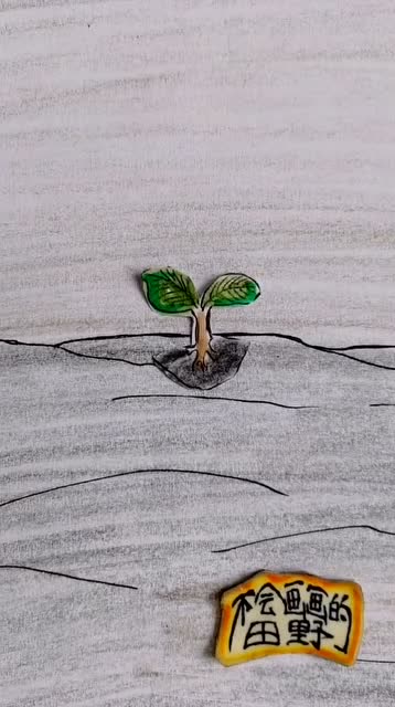 人头树竟然是这么长出来的你还敢去吗