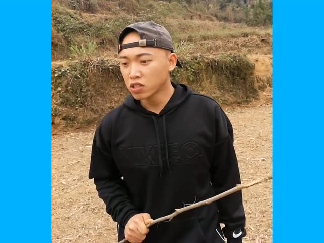 农村小伙教牛犁田,笑尿了