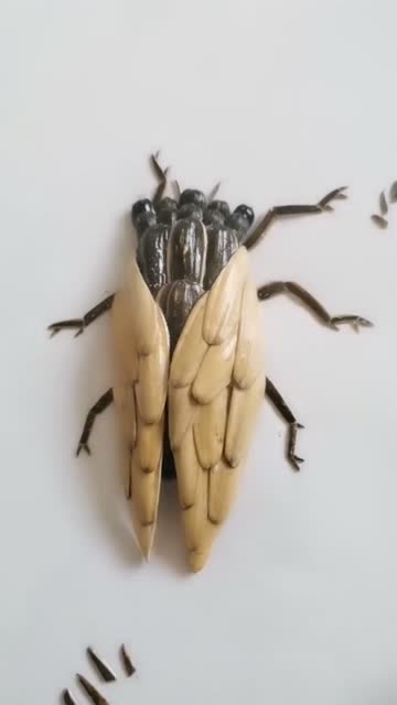 这个是高手,吃瓜子吃出了最高境界,牛