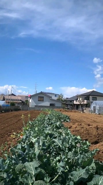 看看日本真实的农村,再看中国的农村,才知道差距有多大