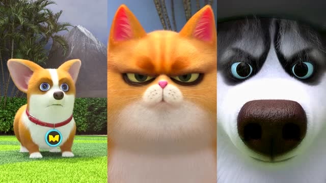 飞狗moco:大事不妙,奥斯卡的发型要完蛋了!