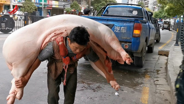 贵阳背猪大汉走红网络 女儿:爸爸很辛苦 努力学习回报他