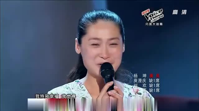 歌手王燕简历图片