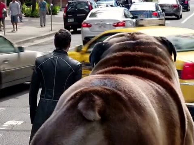 当月球首领黑蝠王来到地球,看到他的宠物狗,比汽车都要大!