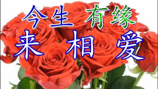《今生有缘来相爱》红尘路上永相随,一颗真心永不改