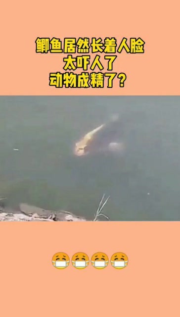 鲤鱼居然长着人脸太吓人了动物成精了