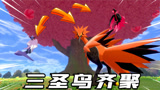 宝可梦剑盾：河马哥来到红色巨树底下，遇到同时出现的三圣鸟