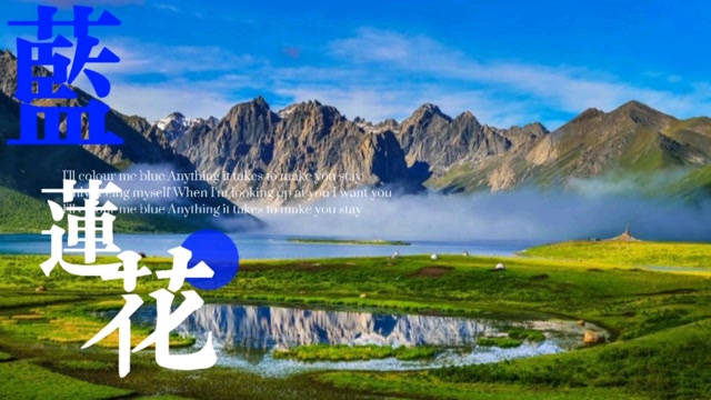 心中那自由的世界,如此清澈的青藏高原《蓝莲花》
